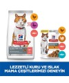 Hills Science Plan Somonlu Kısırlaştırılmış Yetişkin Kedi Maması 8 KG Hills Science Plan Somonlu Kısırlaştırılmış Yetişkin Kedi Maması 8 KG