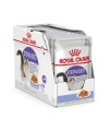 Royal Canin Sterilised Jelly Kısırlaştırılmış Kedi Yaş Maması 85 GR*12 Adet Royal Canin Sterilised Jelly Kısırlaştırılmış Kedi Yaş Maması 85 GR*12 Adet