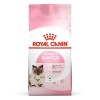 Royal Canin Babycat Yavru Kedi Maması 2 KG Royal Canin Babycat Yavru Kedi Maması 2 KG