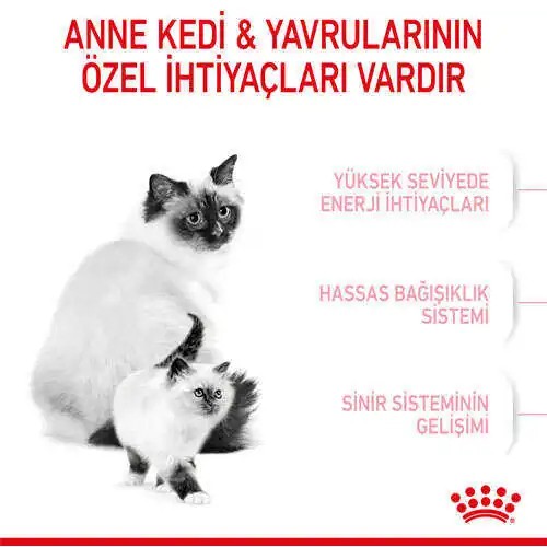 Royal Canin Babycat Yavru Kedi Maması 2 KG Royal Canin Babycat Yavru Kedi Maması 2 KG