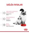 Royal Canin Babycat Yavru Kedi Maması 2 KG Royal Canin Babycat Yavru Kedi Maması 2 KG