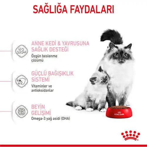 Royal Canin Babycat Yavru Kedi Maması 2 KG Royal Canin Babycat Yavru Kedi Maması 2 KG