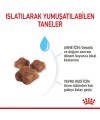 Royal Canin Babycat Yavru Kedi Maması 2 KG Royal Canin Babycat Yavru Kedi Maması 2 KG