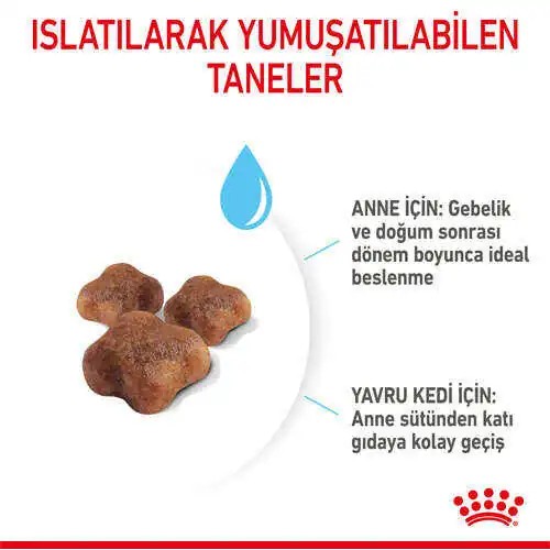 Royal Canin Babycat Yavru Kedi Maması 2 KG Royal Canin Babycat Yavru Kedi Maması 2 KG